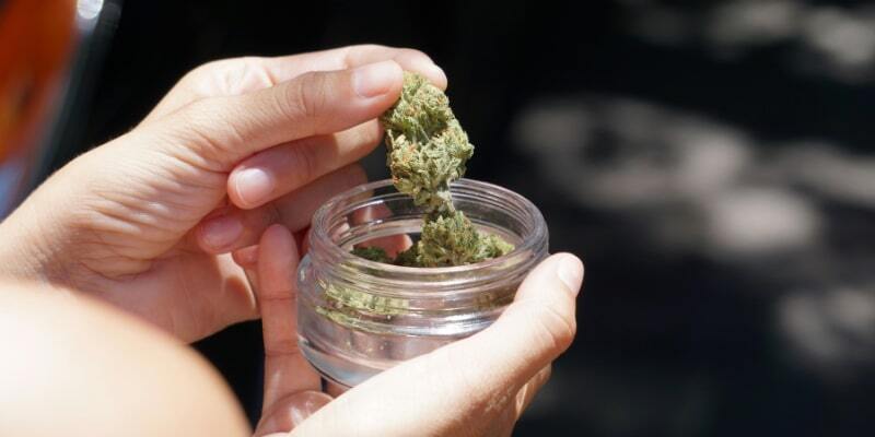 consumer looking at cannabis flower in jar