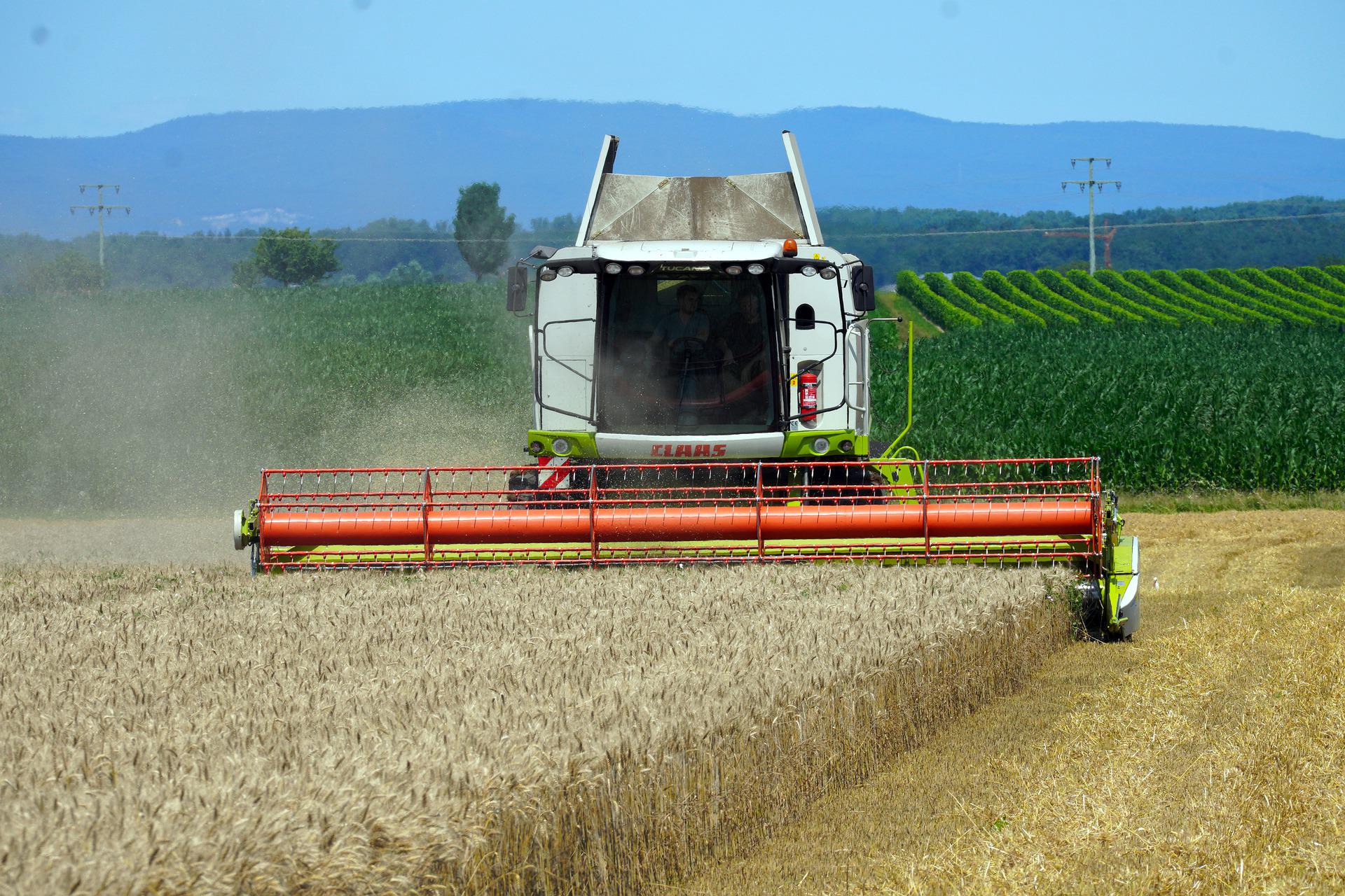 combine harvester in a field of crops