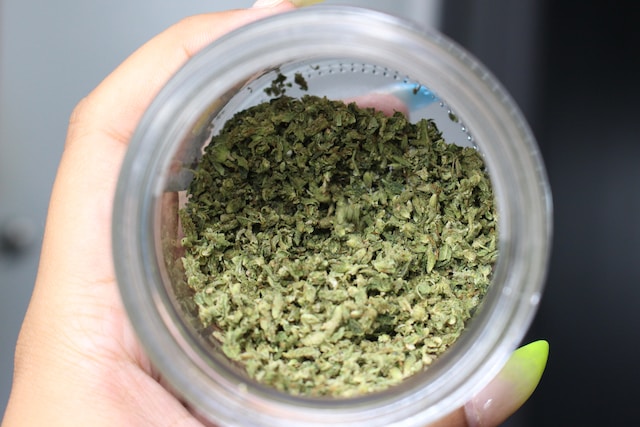 Hand holding ground cannabis in a jar 