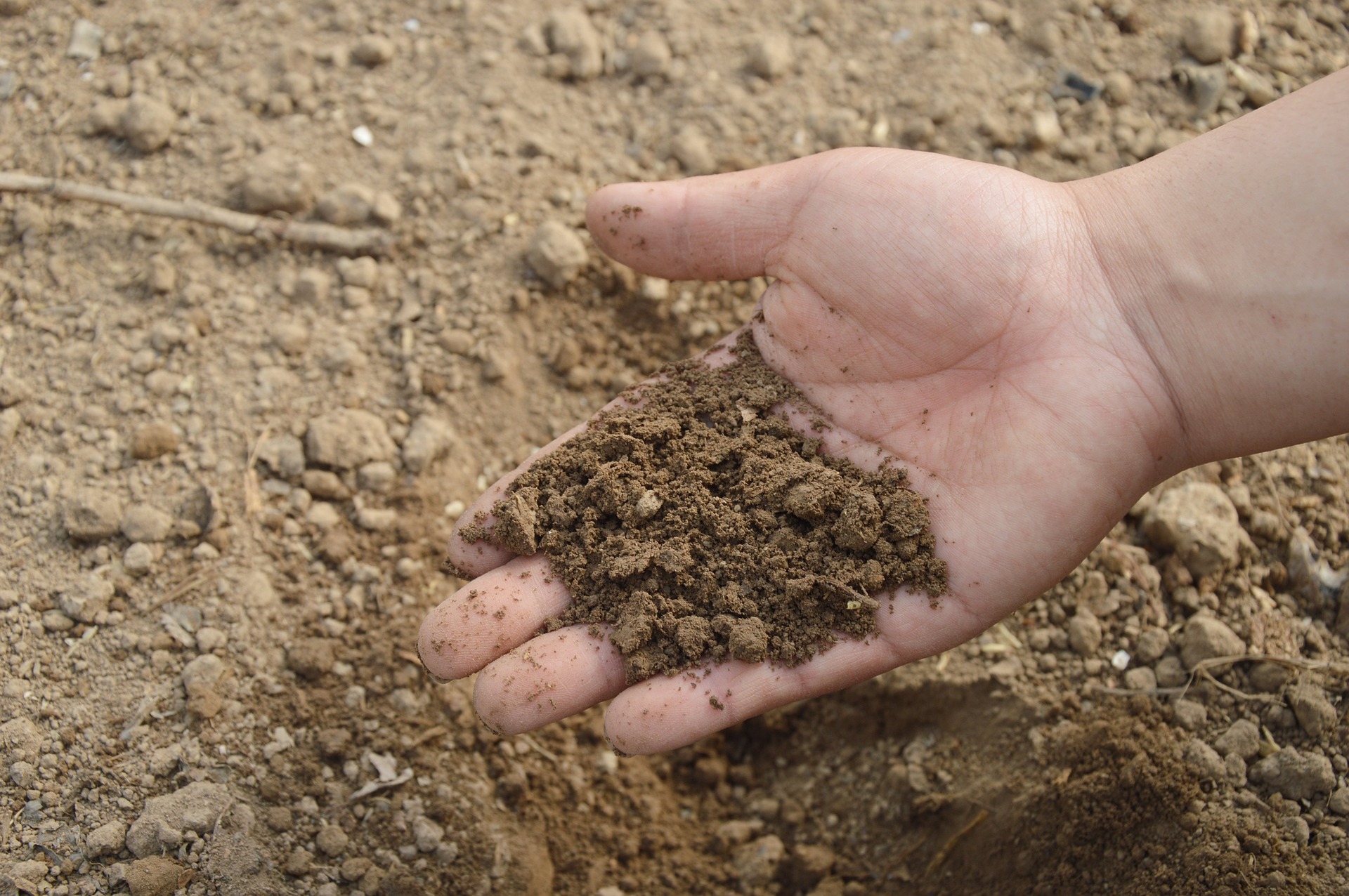 hand scooping a pile of dirt