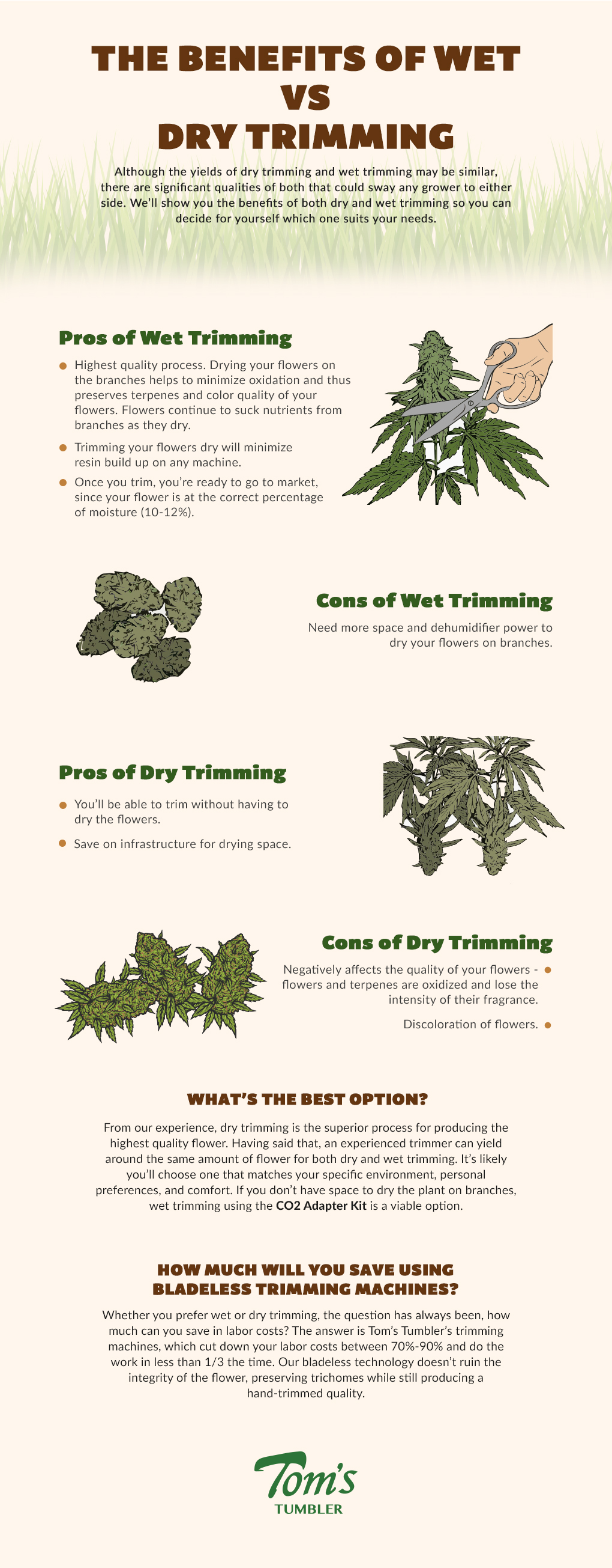 Infographic Benefits Of Wet Vs Dry Trimming TTTinnovation
