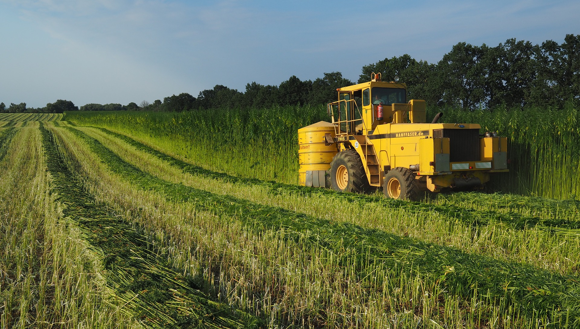 tractor harvesting a field of crops